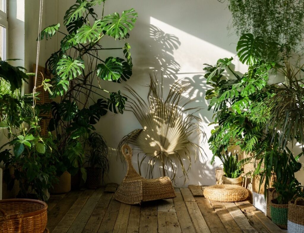 decoracion con plantas